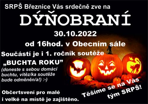 dyně