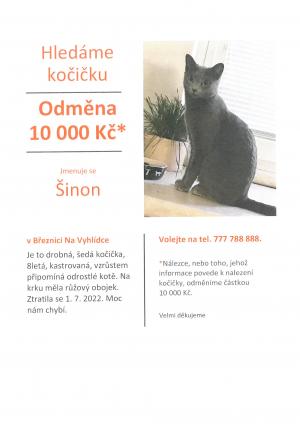 kočka